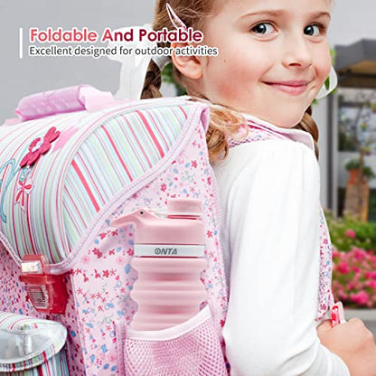 ONTA Collapsible BPA Free Silicone Water Bottle, 20oz - Portable, Leakproof, Easy Clean, Shatter Resistant, Travel Friendly - color: Pink, size: 18.6 Ounces