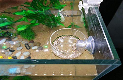 DGZZI Acrylic Aquarium Fish Tank Adjustable Circle Ring Feeder - Floating Food Dish Protection Cover Tray