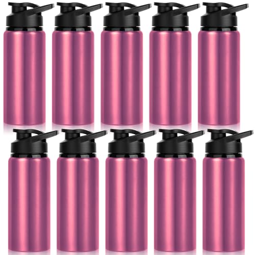 10 Pack Water Bottles Bulk, 20oz Sports Aluminum Water Bottle with Snap Lids Metal Reusable Leak proof Personalized Bottle for Travel Camping Gym Hiking Fishing (Pink) - color: Pink