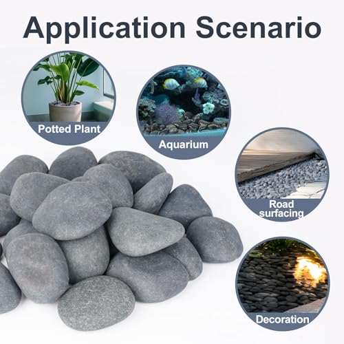 Pulovin 20 lbs River Rocks for Landscaping, 2"-3" Natural Rocks for Aquarium, Fish Tank, Decorative Garden Stones for Plants, Flower Pots, Vase, Walkways - size: 2-3 Inch