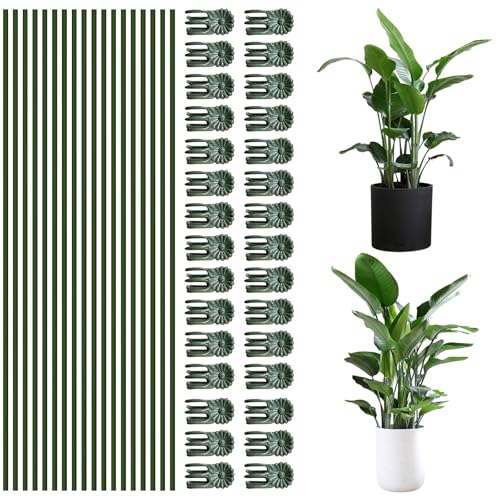 50Pcs Plant Stake Clip Set Green, Plant Sticks Supplies Support Tall, Useful Support Clips, Fine Workmanship Allow Bending Suitable for Various Plant Pots Indoors and Outdoors - color: 50Pcs