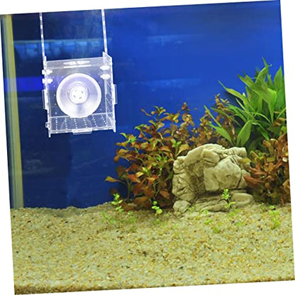 Isolation Box for Fish Transparent Breeding and Incubation Separator for Aquariums Easy to Clean and Store for Fish and Observation