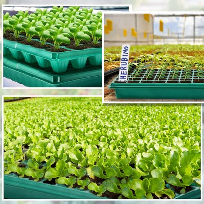 10 Pcs Seed Starter Kit 72 Cell Seedling Starting Trays and 1020 Trays No Holes Plant Growing Nursery Pots for Gardening Germination Propagation (Green)