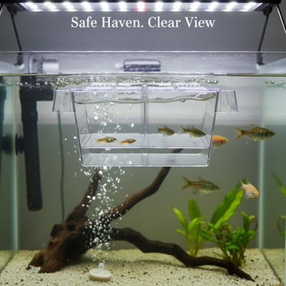Aquarium Fish Isolation Box, Clear PC Plastic Separator Tank with Divided Compartments (1 PC)