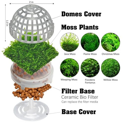 Java Moss | Vesicularia Ferriei Live Aquarium Plant, 10 Square Inch Flame Moss, with 1x Ball Holder, Freshwater Live Plants Shaping Filter