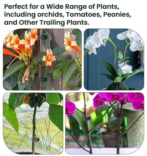 100 Pcs Orchid Clips for Plants Support, Plastic Clips for Plants to Secure Vines & Stems (Green, 2.1 x 1.3 Inches)