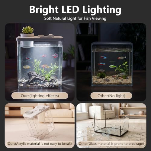 2 Gallon Betta Fish Tank Aquarium Starter Kit with Light and Lid(White) | Premium Acrylic Aquarium with Light and Lid, Crystal Clear Starter Kit for Betta Fish, Shrimp, Snails and Small Fish - color: White, size: 2 Gallon