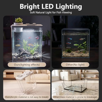 2 Gallon Betta Fish Tank Aquarium Starter Kit with Light and Lid(White) | Premium Acrylic Aquarium with Light and Lid, Crystal Clear Starter Kit for Betta Fish, Shrimp, Snails and Small Fish - color: White, size: 2 Gallon