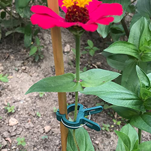 40 PCS Plant Clips Garden Clips for Tomato Cage, Tomatoes Clips Plant Support Clips for Bamboo Stakes, Climbing Plants, Vines, Gentle Plant & Flower Trellis Clips for Plant Stalks, Stems