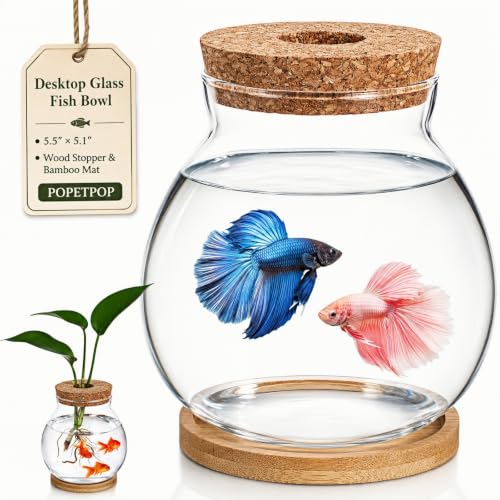 POPETPOP Desktop Glass Fish Bowl - Round Small Fish Tank | with Wood Stopper & Bamboo Mat, Clear Glass Betta Fish Bowl for Succulent Plants, Hydroponic Air Plant (5.5X5.1 Inch)