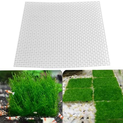 6PCS Stainless Steel Wire Mesh Mat Aquarium Plant Moss Netting 10x10cm/4x4in Fish Aquarium Plants Mesh Plants Fixed Planting Mesh Square for Pump Room Filter Entrance