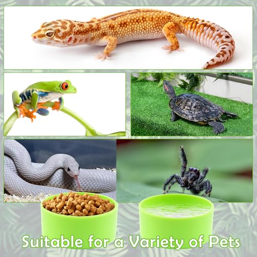 10 Pcs Tarantula Micro Water Bowl Small Reptile Food Dish Feeding Bowl for Spider Gecko Lizard Horned Frog Turtle (Green)
