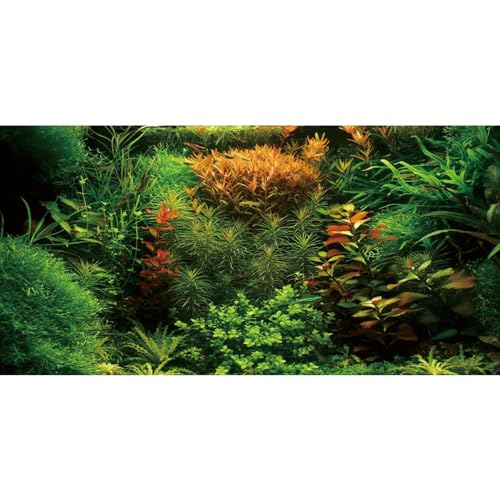 AWERT 60x24 inches Aquarium Background Seagrass Aquarium Background Aquatic Plant River Bed & Lake Fish Tank Background Vinyl Background - size: 60x24in/150x60cm