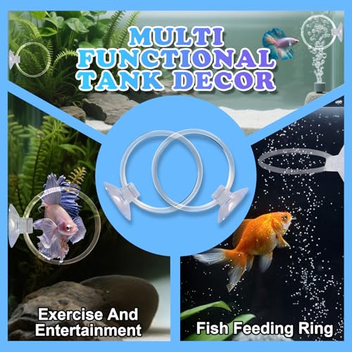 Betta Fish Toys, 2 PCS Fish Exercise Ring and Nitrifying Balls Set, Betta Mirror Toy Set, Feeding Ring with Suction Cup, Fishing Tank Accessories for Gifts (Clear) - color: Clear