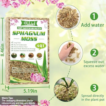 Halatool 3.6 OZ Sphagnum Moss for Plants, 4 QT Long Fiber Dried Orchid Moss | Drainage & Moisture Retention, Natural Moss for Ferns, Succulents, Carnivorous, Orchid Repotting, Terrariums, Reptile Bedding - size: 4 qt (0.2 lbs)
