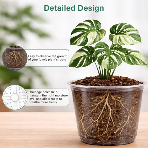 Bluepro Clear Nursery Pots with Drainage, 3.5/4/5/6/8 Inch, 20-Pack | Clear PET, 4 Each of Five Sizes, Root and Moisture Visibility, Flexible, Reusable, Seed Starting Through Repotting - size: 3.5/4/5/6/8 Inch-20Pcs
