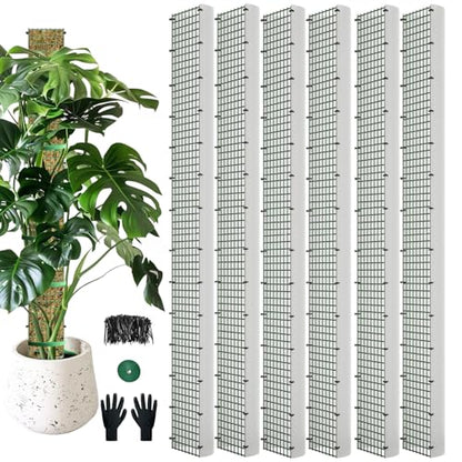 60" Metal Moss Pole, D Shape Sphagnum Moss Pole, Moss Poles for Climbing Plants, Monstera, Indoor Climbing Plants (6Pcs 60") - style: 6Pcs 60"