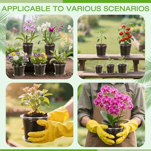 6 Inch Clear Nursery Pots with Drainage Trays, 15 Pack Plastic Pots for Plants, Clear Pot for Seed Starting, Transplanting, Succulents, and Indoor Gardening (6 inch) - size: 6 inch