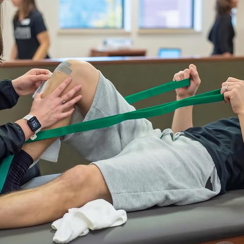 Yoga Stretch Strap – Multi-Loop Elastic Resistance Band for Exercise, Stretching, and Physical Therapy