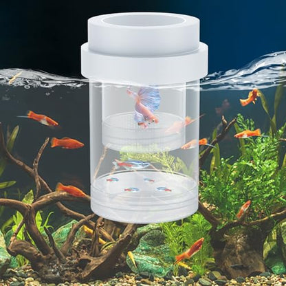 Pawfly Breeder Box for Fish Tank, Aquarium Fish Breeding Box, Floating Guppy Breeder Box, Baby Fish Separator for Aquarium, Plastic Hatchery Incubator Isolation Box for Shrimp Betta Clownfish, Medium - size: Medium