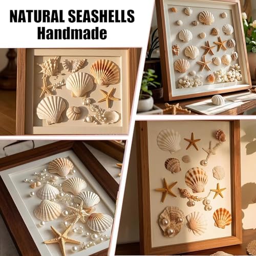 50 PCS Natural Sea Shells 1.6" to 2" White Scallop Shells for DIY Painting Crafts, Wedding Decor, Beach Theme Party, Aquarium Fish Tank and Vase Filler