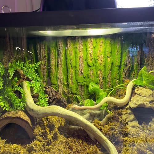 PINVNBY Reptile Cork Terrarium Background,Bearded Dragon Tank Natural Bark Backdrop Wall Habitat Decor with Artificial Moss,15.75"×11.8" Reptile Carpet for Gecko Lizard Tortoise Frog Chameleon(1 Pack) - size: 【1 PCS】