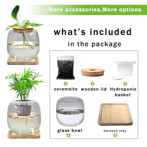 Betta Fish Bowl Glass Small Fish Tank with Bamboo Stand, Plant Propagation Station Hydroponic Terrarium with Lid beta Fish Aquariums 0.6 Gallon