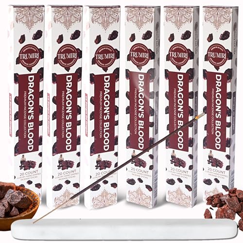 Dragons Blood Incense Sticks for Protection - Total 120 Insence-Sticks - 6 Packs of 20 Insense - Inciensos - Inscents - Natural Non Toxic Ingredients - Incents - Incence - Inscense - Insents - color: Dragons Blood, size: Pack of 6 (120 Sticks)