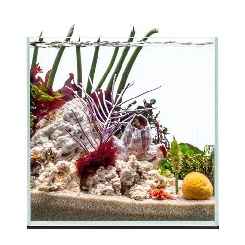 UNS Ultra Clear Rimless Tank - 7.1GAL | 27L - 11.81x11.81x11.81 | 30x30x30 CM, 5mm Glass Thickness, Leveling Mat Included - Low Iron, High Clarity Fish Tank w/ 45° Mitered Edge - [30C] - size: [30C] - 7.1 Gal - 11.81 x 11.81 x 11.81 in