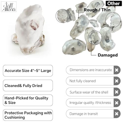 20PCS 4"-5" Large Oyster Shells for Crafts, Concave Shells, Premium Natural Seashells, Cleaned & Odorless Craft Oyster Shells for Painting, DIY, Wedding Decor, Decoupage, Art Projects - size: Large 4"-5" 20pcs