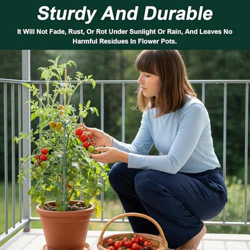5 Pack Stackable Plant Support Stakes Monstera Plants Support Vine Plant Sticks Stakes with Plants Clips Ties Pothos Climber Supports for Indoor Outdoor Vine Orchid Perfect Moss Pole Replacement