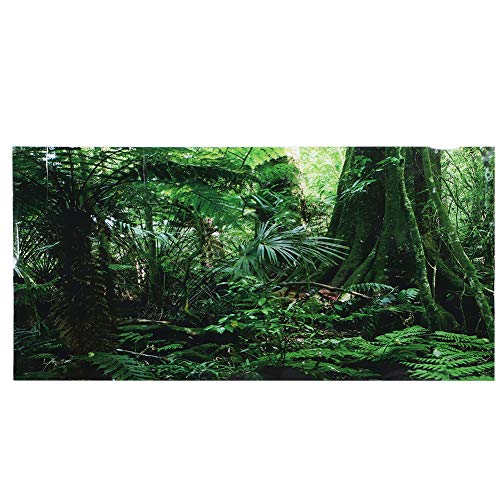 PVC Reptile Box Rainforest Background Poster Fish Tank Wall Picture Painting Decoration Self Adhesive Sticker HD Image Non Easy to Apply for Aquarium or Reptile (91 * 50cm) - size: 91*50cm