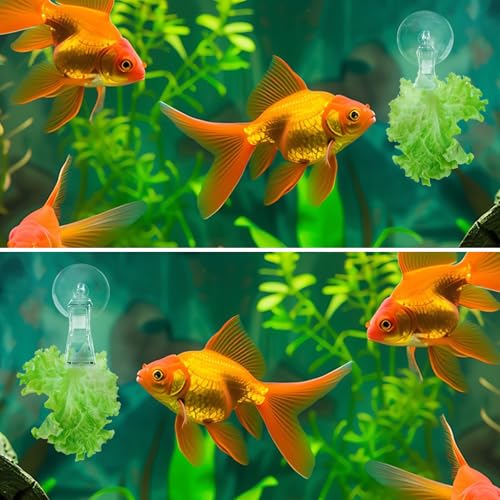 6 Pack Veggie Aquarium Seaweed Clips Fish Food Holder Wide Mouth Clips Plants Suction Cups Algae Clip for Freshwater and Marine Fish Tank (Mixed Clip) - size: Mixed