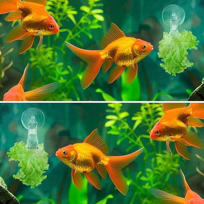 6 Pack Veggie Aquarium Seaweed Clips Fish Food Holder Wide Mouth Clips Plants Suction Cups Algae Clip for Freshwater and Marine Fish Tank (Mixed Clip) - size: Mixed