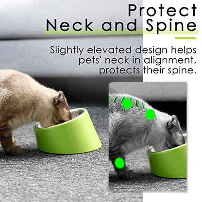 SUPERDESIGN Anti-Vomiting 15° Slanted Pet Bowl, S/0.5 M/1 Cup Green | 15° Tilted, Anti-Vomit & Neck Relief, Non-Slip Base, Detachable Stainless Steel Liner, Dishwasher Safe, for Cats & Dogs - color: Light Green, size: M/1 Cup
