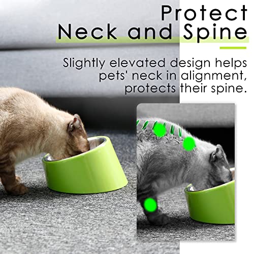 SuperDesign Mess Free 15° Slanted Bowl for Dogs and Cats, Tilted Angle Bulldog Bowl Dog Feeder, Non-Skid & Non-Spill, Easier to Reach Food L/2 Cup Green - color: Light Green, size: L/2 Cup
