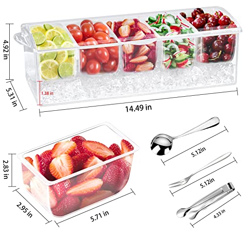 Condiment Tray with Stainless Steel 5 Spoons, 5 Forks and 1 Clip, Chilled Condiment Server, Condiment Server, Bar Garnish Holder on Ice, Bar Accessories Fruit and Salad with Removable Trays and Lid