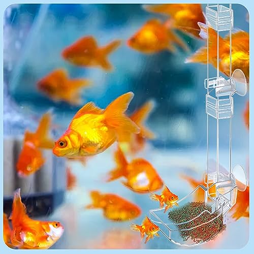 Aquarium Fish Shrimp Feeding Dish Set Clear Fish Feeder Tube and Dish with Cleaning Brush and Measuring Spoon for Feeding Shrimp and Preventing Food Scattering Feeding Supplies for Shrimp Large - size: Large
