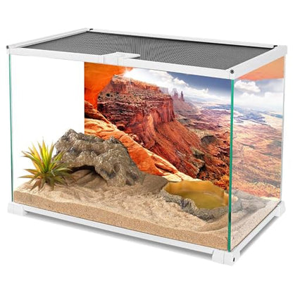 AWERT Stone Reptile Habitat Background Sky Oasis Mountain Cactus Sun and Desert Terrarium Background 72x24 inches Polyester Background - size: 72x24in/180x60cm