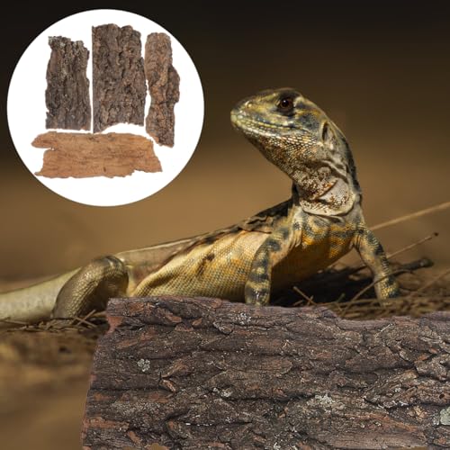 IMIKEYA 4Pcs Reptile Tree Bark Reptile Hides: Natural Wood Cork Bark Gecko Hide Small Climbing Barks Terrarium Decor Lizard Geckos Tortoise Birdcage Tank Accessories Water Tube Landscaping