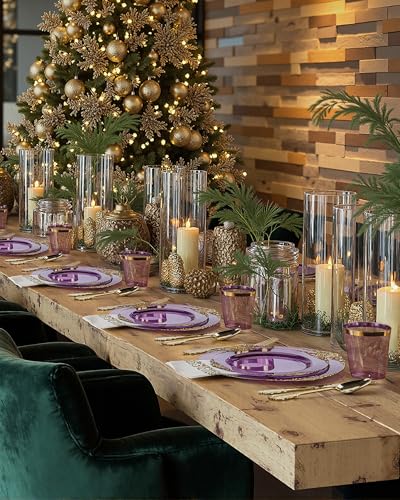 Nervure 175PCS Clear Purple Plastic Plates - Purple Party Plates Set for 25 Guests Include 25Dinner Plate, 25Dessert Plate, 25Cups, 75 Cutlery, 25Napkins Perfect for Wedding, Party & Bridal - color: Transparent Purple, style: 175Pcs(25Guests)