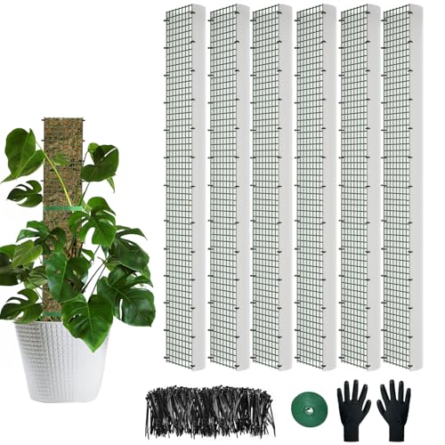60"/40"/24" Metal Moss Pole, D Shape Sphagnum Moss Pole, Moss Poles for Climbing Plants, Monstera, Indoor Climbing Plants (6Pcs 40") - style: 6Pcs 40"