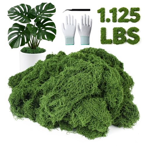 MGLIFEUL 1.125LB Fake Green Moss for Plants Indoor with Gloves and Tweezers | Artificial Faux Moss for Craft DIY Table Centerpieces Living Walls Fairy Garden Indoor Outdoor Home Decorating Model Making - color: Dark Green, size: 1.125 LBS