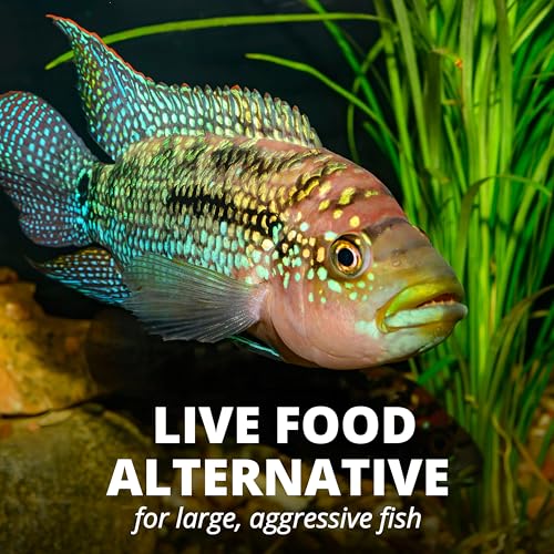 Tetra JumboMin Large Floating Sticks Fish Food for Monster Fish, 3.96 lbs | Daily Live Food Alternative For Large Aggressive Fish, Active Life Formula Supports Healthy Cells, Growth and Digestion - size: 3.96 Pound (Pack of 1)