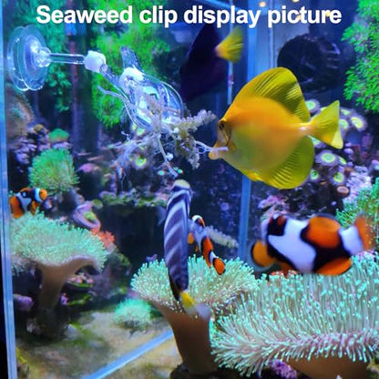 31.5Inch Long Corals Grabber,reefs Feeders,Aquarium Veggie Feedting Tool,Aquarium Food Clip Feeding(Long Reef Grabber and Coral Feeder Kits(Anti-Rust) - size: Long Reef grabber and coral feeder(ANTI-RUST)