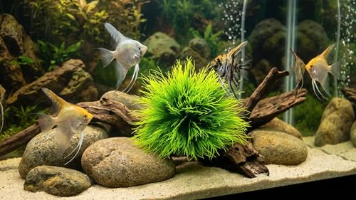 2 Pack Aquarium Plants Decorations Plastic Realistic Fish Tank Plants with Weighted Waterscape Fish Hides Mini Grass Set