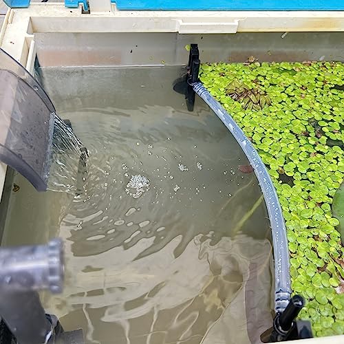 HOZOE Floating Plant Fence for Aquarium, Separates Plants, Automatically Adjusts Height with Water Level, Suitable for Most Aquariums. (1 PCS) - style: 1 PCS