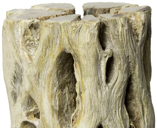 Galapagos 05272 Cholla Wood for Aquarium, 24", Natural