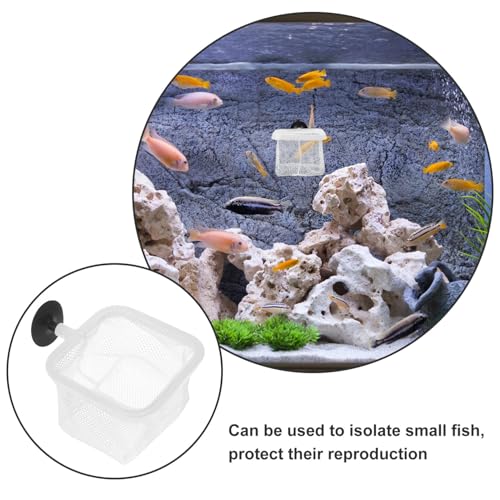 YARNOW 5pcs Fish Breeder Net Suction Cups Divider Nets for Fish Tanks for Shrimp and Fry Protection Prevents Easy Installation Versatile Use