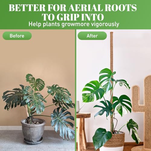 54 Inch Moss Pole for Climbing Plants Indoor | 3 Pack 16 Inch Monstera Plant Support Coir Plant Pole Sticks Support Stakes for Potted Plants, Pothos, Philodendron